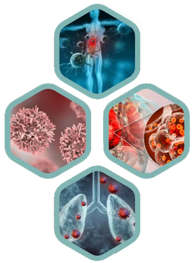 Element Banner